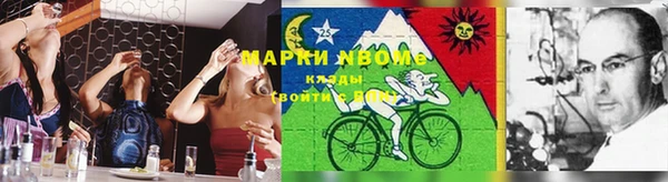 дмт Алзамай