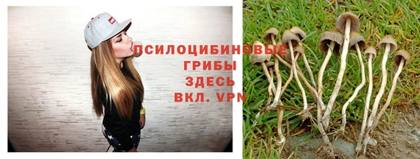 бутират Арсеньев